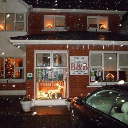 The Branches B&B Galway Exterior foto